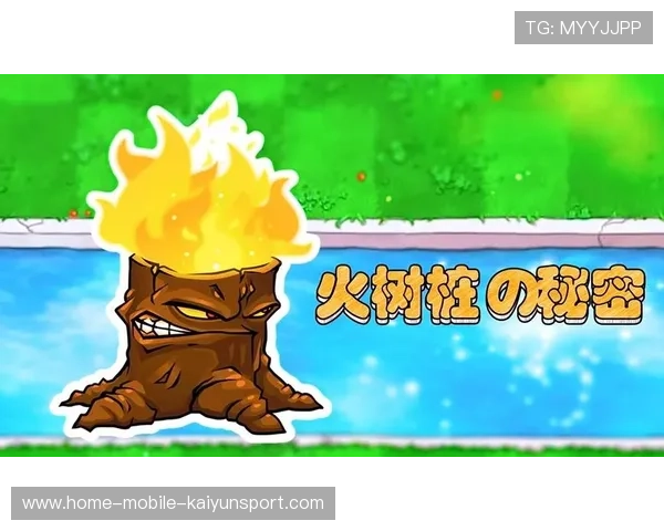 太阳射手群如何炼成？教练组秘密训练被扒出