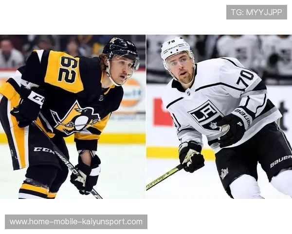 国王体系完善：外线点位的培养将决定球队长期竞争力