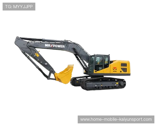 普雷斯利重拳如钩机铁臂：拳力与力量的极致结合