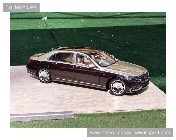 梅奔两车互撞，全网骂翻